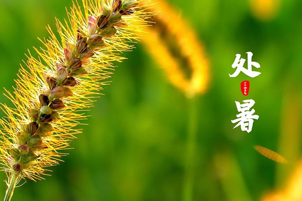 一房一木全屋定制